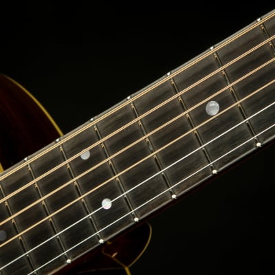 Martin D-28 Rich Robinson #120 image 9