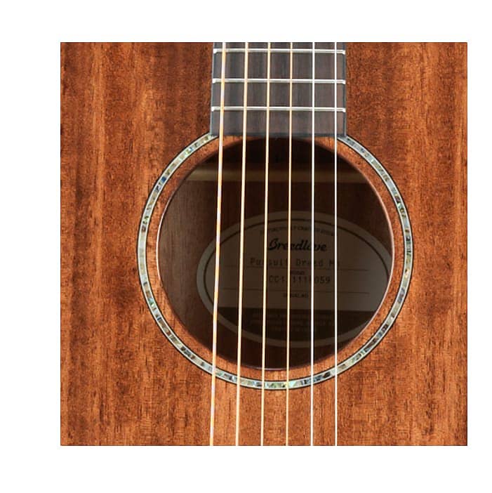 Breedlove on sale pursuit dreadnought