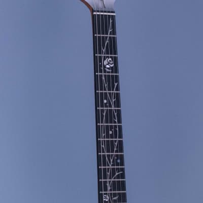 Ibanez TOD10 Tim Henson Signature Silver DEMO image 2