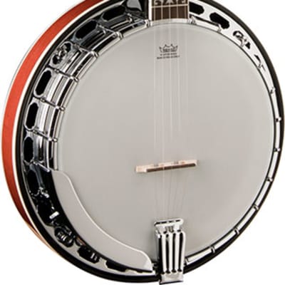 Washburn Americana B16 Banjo w/Case for sale