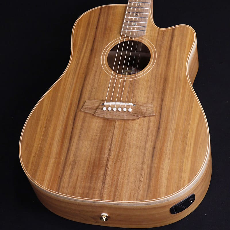 Cole Clark CCFL2EC-BLBL FL Dreadnought Australian Blackwood [SN 221042506]  [02/27]