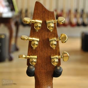 Breedlove AC250/CR Syn  Natural image 9