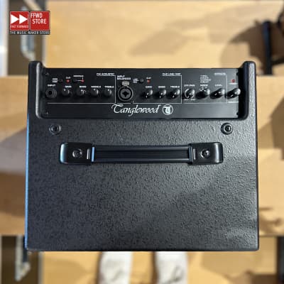 Tanglewood T6 Twin Channel 60w 1x10" Acoustic Combo - Black image 3