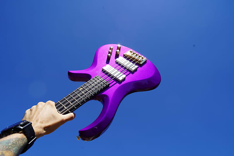 Schecter Diamond Series FreeZesicle Freeze Purple 5-String