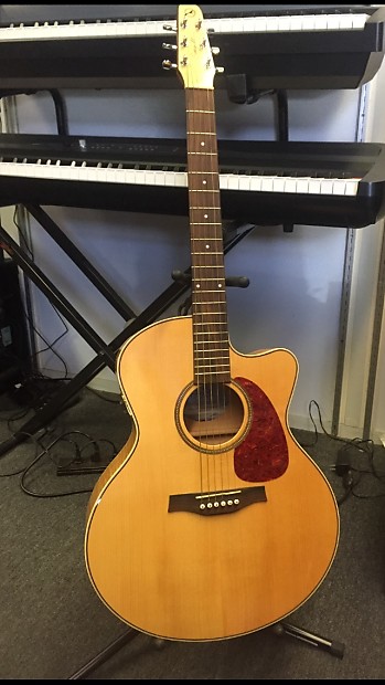 Seagull Performer CW MJ Flame Maple HG QIT | Reverb