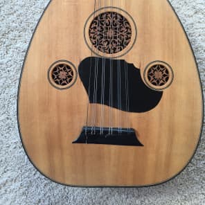 Fretless lute online