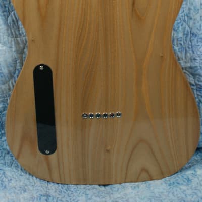 VZ Custom Guitars Spalted Maple Top T-Style image 13