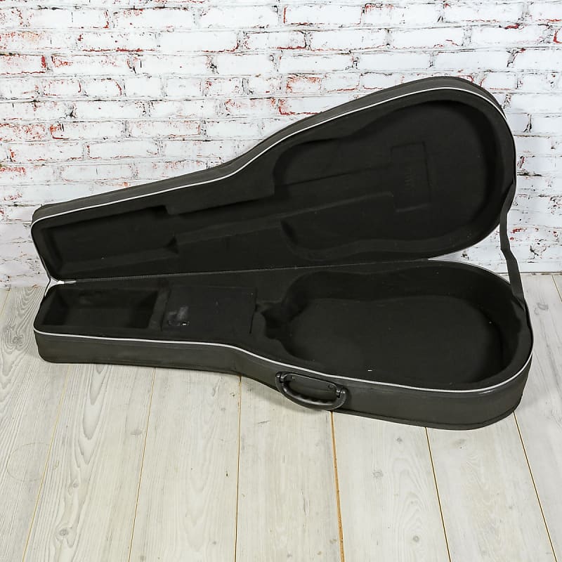 Road Runner RPFA20 Acoustic Polyfoam Case x0522 USED Reverb