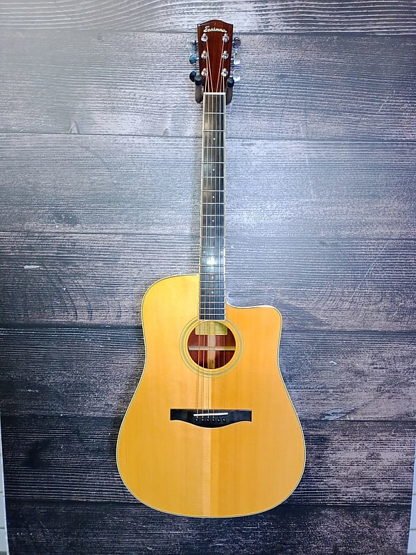 Eastman ac320ce deals