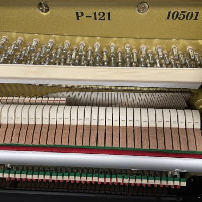 New Picarzo P-121 48" Upright Piano in Polished Ebony, Walnut Or Mahogany image 13