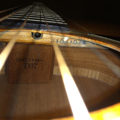 Fannin D-37 Acoustic Guitar  80's natural MIJ image 15