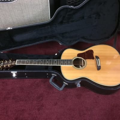 Washburn WSD5240 Warren Haynes Signature Model Acoustic Guitar w/Hard Case - Natural Gloss [ProfRev] image 11