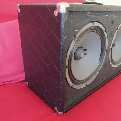 Polytone Mini-Brute V  Rare 2x10' Speakers version image 5