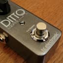TC Electronic Ditto Looper FX Pedal