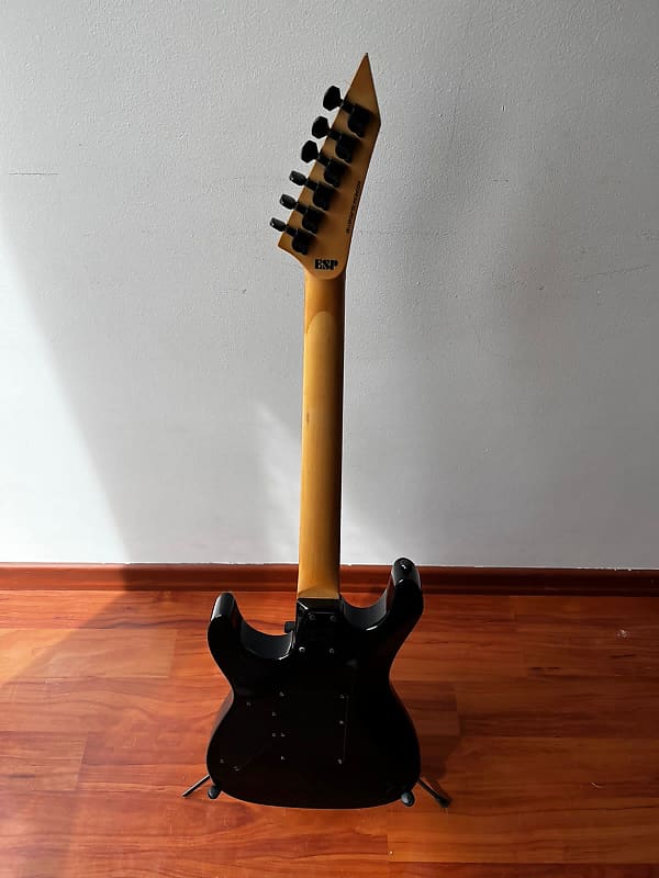 ESP LTD M100fm Tigre black | Reverb