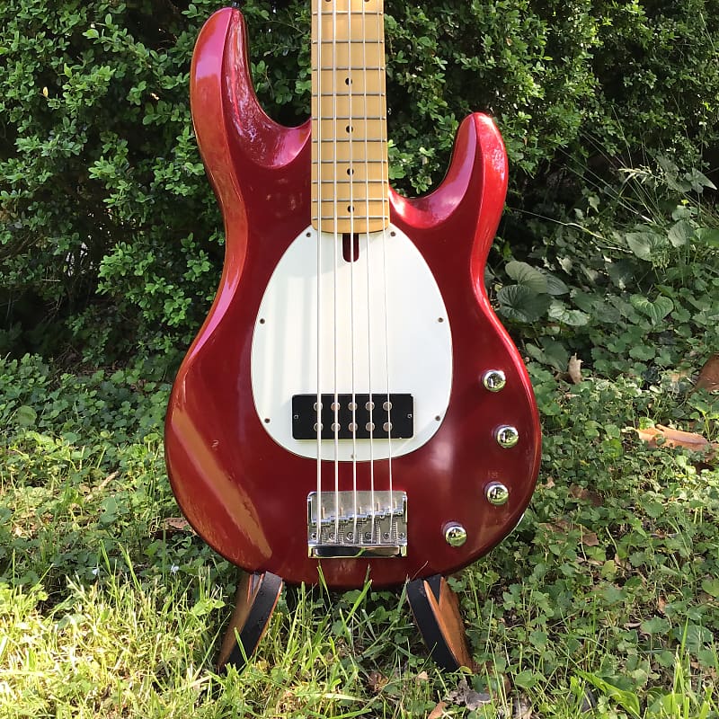 Samick 5String Bass Ernie Ball Music Man Stingray Style Reverb