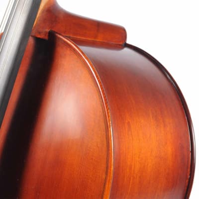 Eastman Strings 4/4 VC95 Cello Outfit USED image 8