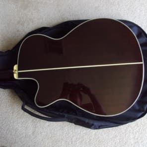 Ibanez AEG10NE Nylon String Cutaway Acoustic-Electric Guitar image 6
