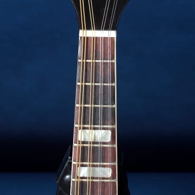 Kay 395 Electric Mandolin 1960s / Anyone for Venice? image 3