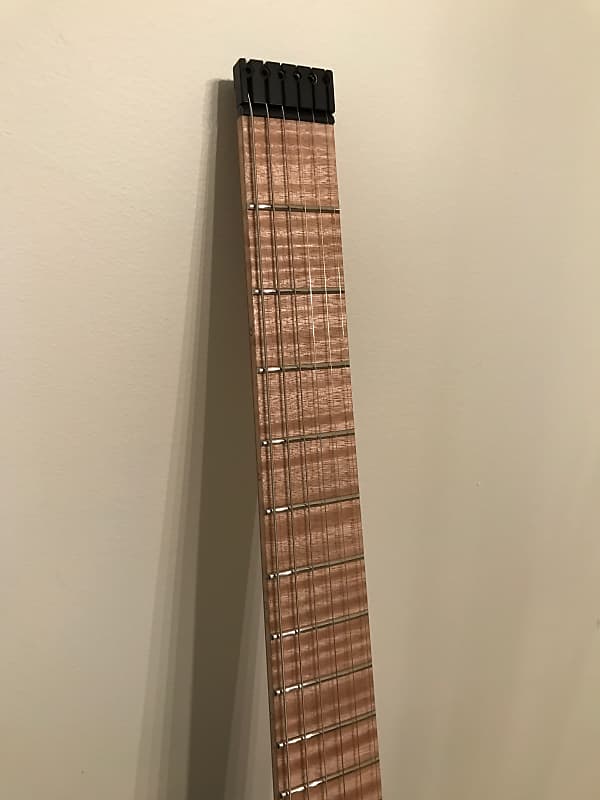 ギター Kiesel Allan Holdsworth Signature HH2