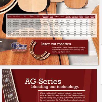 Garrison G-4 Glass Fiber Bracing System All Solidwood Acoustic Guitar With Garrison Hardcase image 11