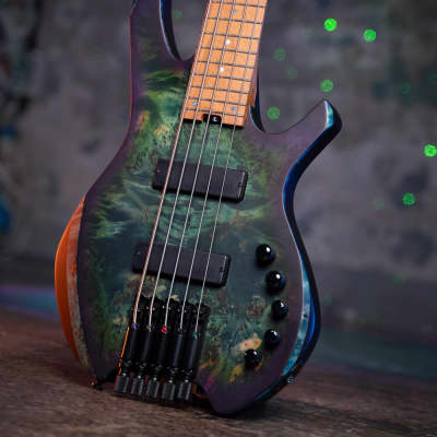 Carvin AC-50 5 String Fretless Acoustic-Electric Bass Guitar