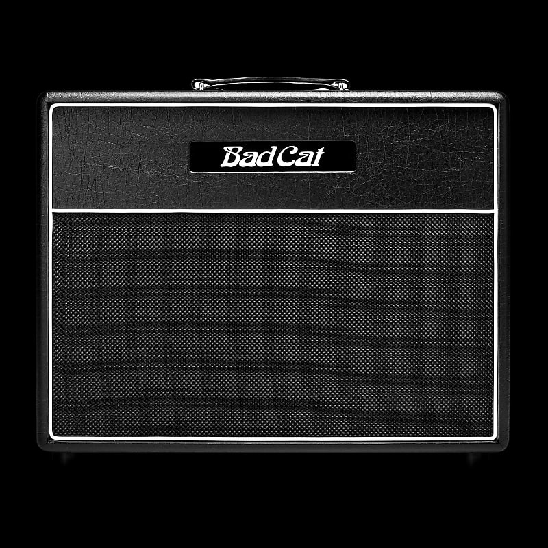 Bad Cat Cub 1x12 Extension | Reverb