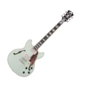 D'Angelico Deluxe Mini DC Limited Edition Sage