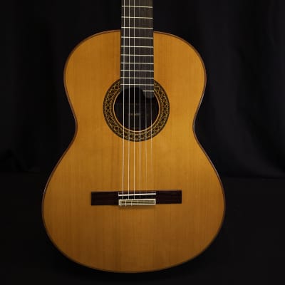 Alhambra Premier Pro Madagascar Javier Mengual Classical Guitar w/Hard Cse image 3