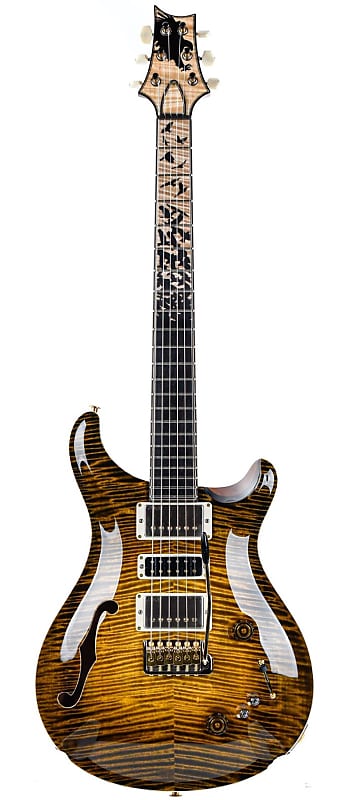 PRS Private Stock Special 22 Semi Hollow Tiger Eye Glow image 1