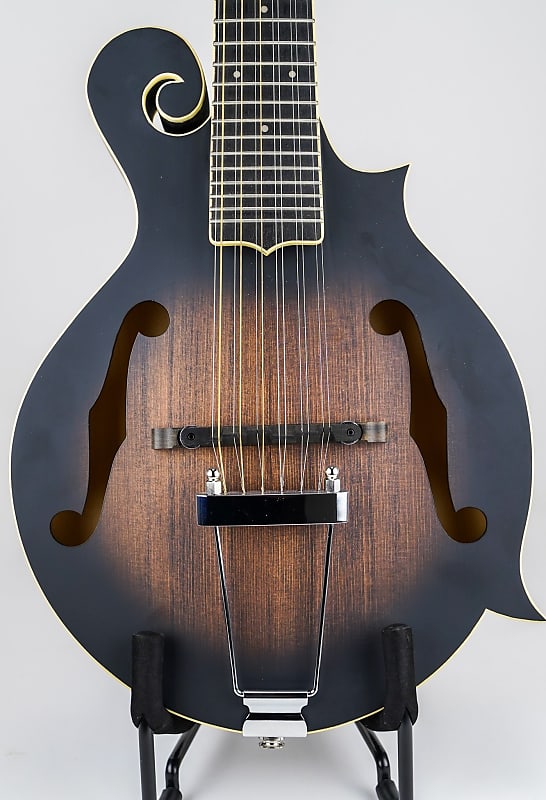 Gold Tone I-F12 Gold Tone F-Style 12-String Mando-Guitar w/ Foam Case image 1