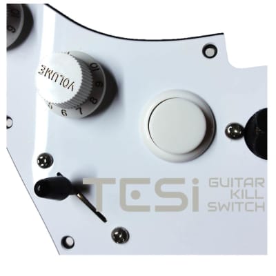 Tesi DITO 24MM Momentary Arcade Push Button Guitar Kill Switch Solid White image 1
