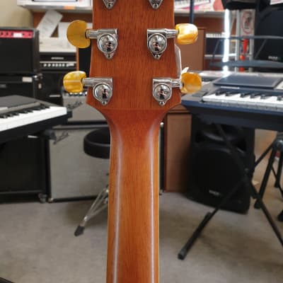Crafter Pk-bubinga | Reverb