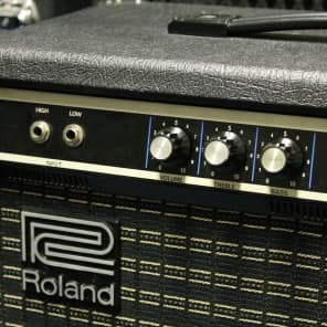 Roland GB-50 Vintage Bass Amplifier Combo | Reverb