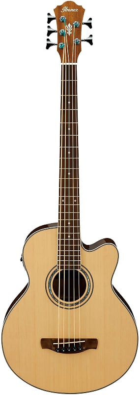 Ibanez AEB105E 5-String Acoustic-Electric Bass Natural High Gloss image 1