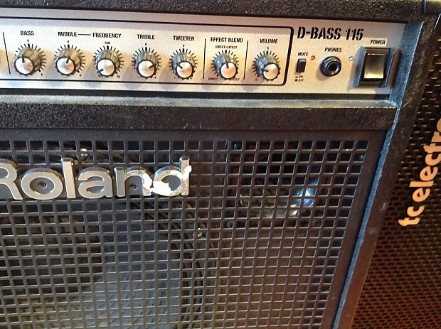 Roland D-Bass 115 Bass Combo Amp | Reverb