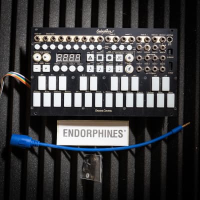 Endorphin.es Ground Control Eurorack Synth Module 2019 - Present - Black image 1