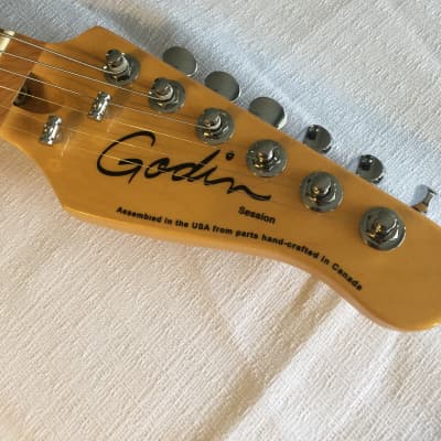 Godin Session (made in USA/Canada)  includes matching soft case image 5