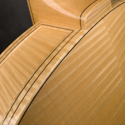 Schneider Guitars / The SoHo17 image 8