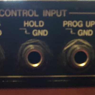 KORG SDD-3000 Digital Delay (Rack), The Edge, Daniel Lanois