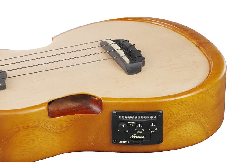 Ibanez AUC10E-OPN Concert Ukulele Open Pore Natural incl. Gigbag - NEW image 1