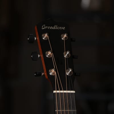 Breedlove Frontier Concerto E Acoustic Electric Guitar in Honduran Mahogany image 13