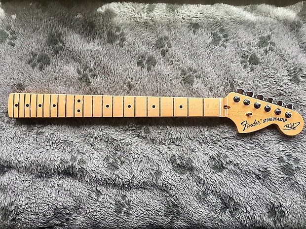 Fender The Edge Artist Series Stratocaster Neck image 1