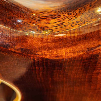 Eastman Otto D'Ambrosio El Rey Hollowbody Electric Guitar - Original Hard Case-Solid Wood Beauty image 22
