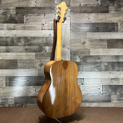 Ernie Ball Earthwood Jumbo 6-String Guitar w/ HSC image 3