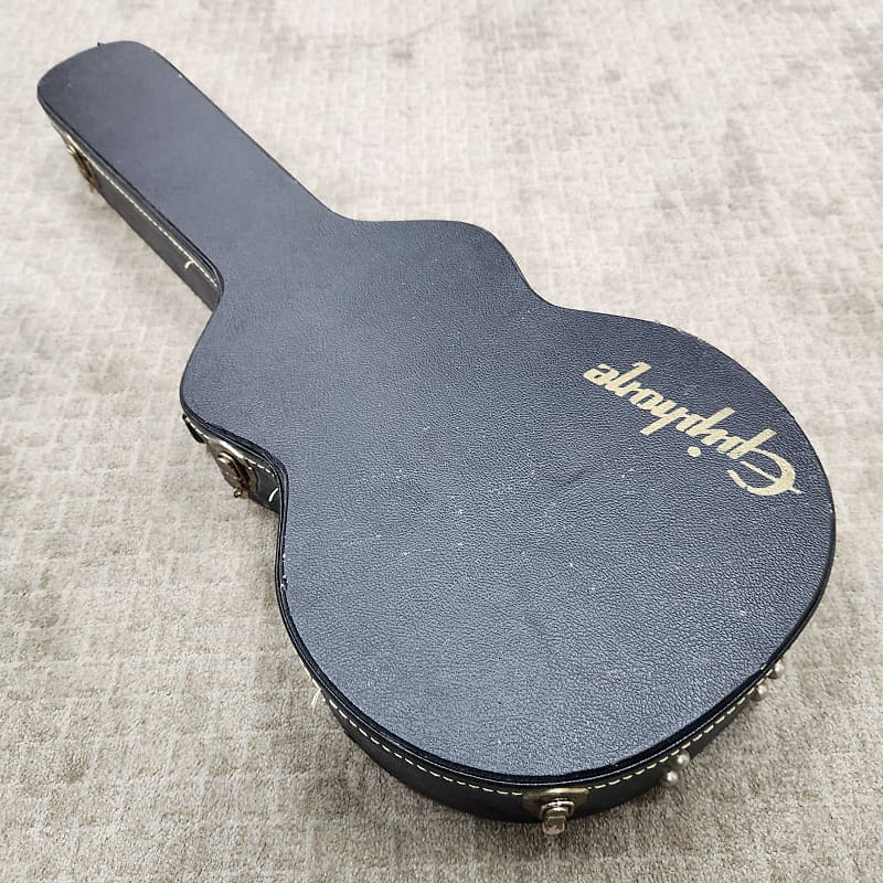 Epiphone shop riviera case