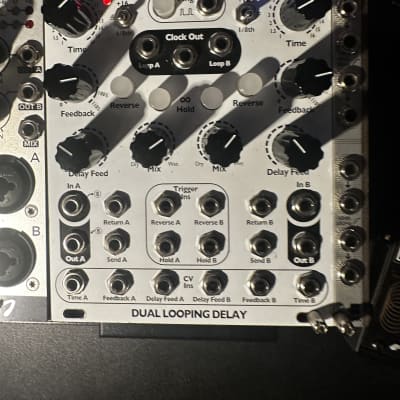 4MS Dual Looping Delay