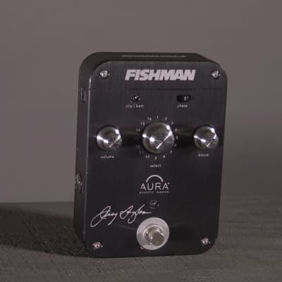 Beard R Model w/ Fishman Pickup & Jerry Douglas Aura Pedal image 10