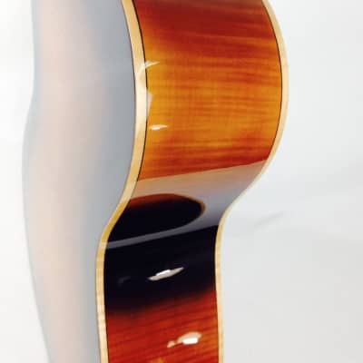 Gold Tone PBS-D Paul Beard Signature-Series Squareneck Resonator Guitar Deluxe w/Hardshell Case image 8