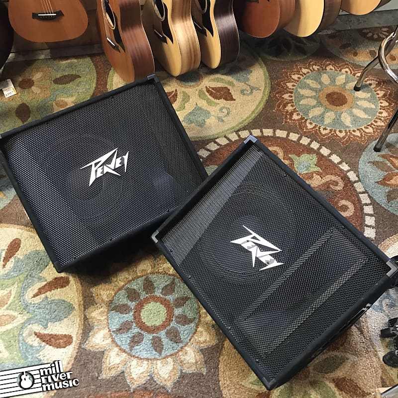 Peavey PV12M 2-Way 12
